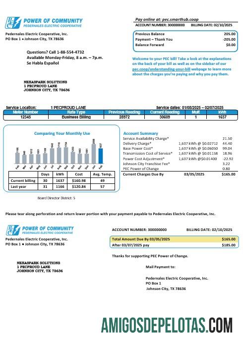 EUA Texas Power of Community Electricity Business Utility Bill em formatos Word e PDF, bom para comprovação de endereço amostra